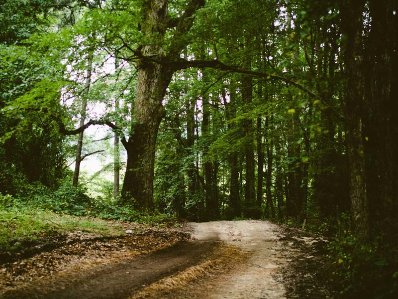 contact screenshot 3